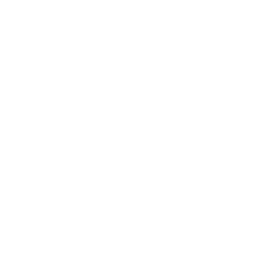 Silver Decor